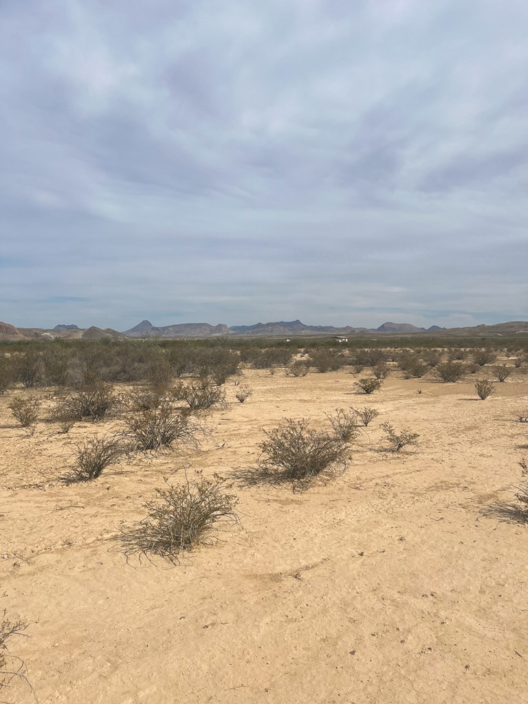 1401 S Digger Rd, Terlingua, Texas image 6