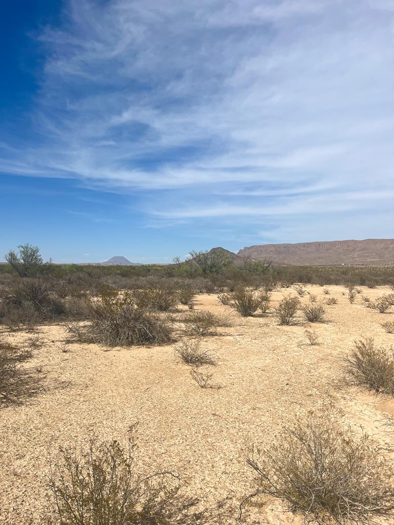 1401 S Digger Rd, Terlingua, Texas image 1