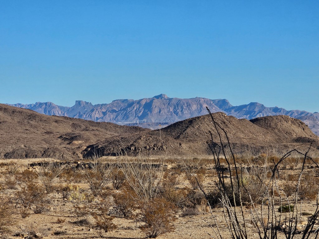 452 Sawmill Cutoff Road, Terlingua, Texas image 2