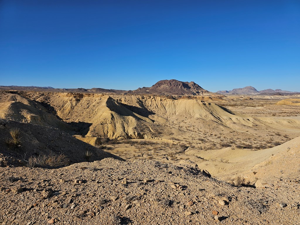 452 Sawmill Cutoff Road, Terlingua, Texas image 28