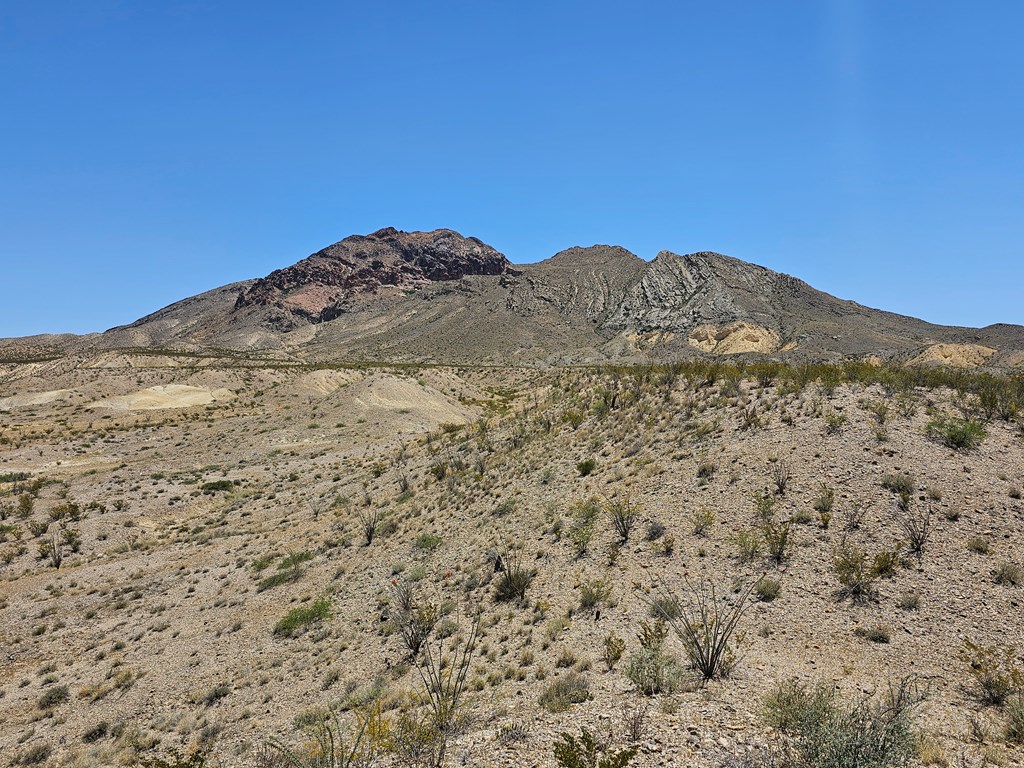 2 Victoria, Terlingua, Texas image 25