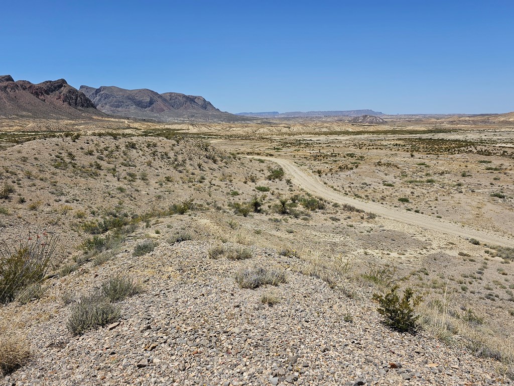 2 Victoria, Terlingua, Texas image 32