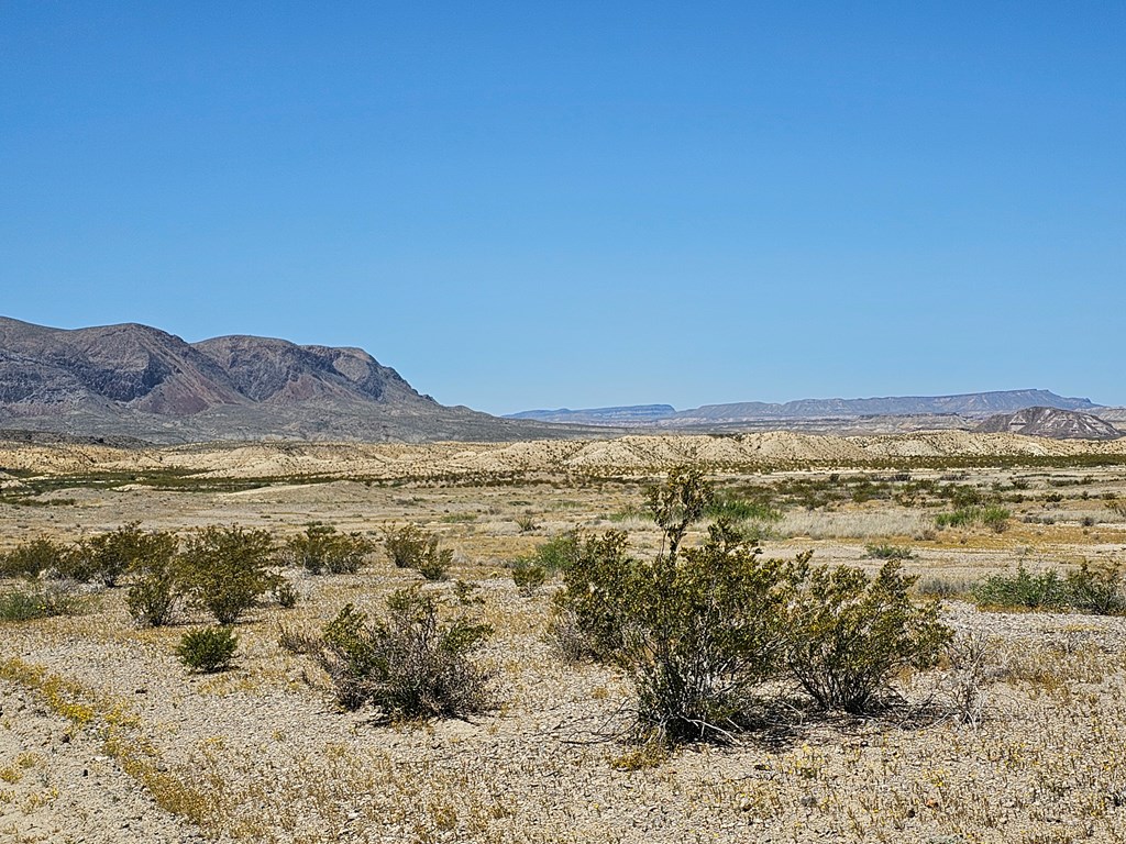 2 Victoria, Terlingua, Texas image 10