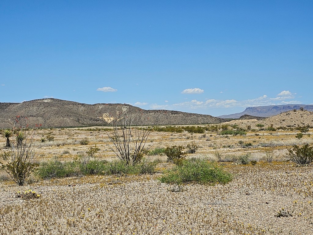 2 Victoria, Terlingua, Texas image 16