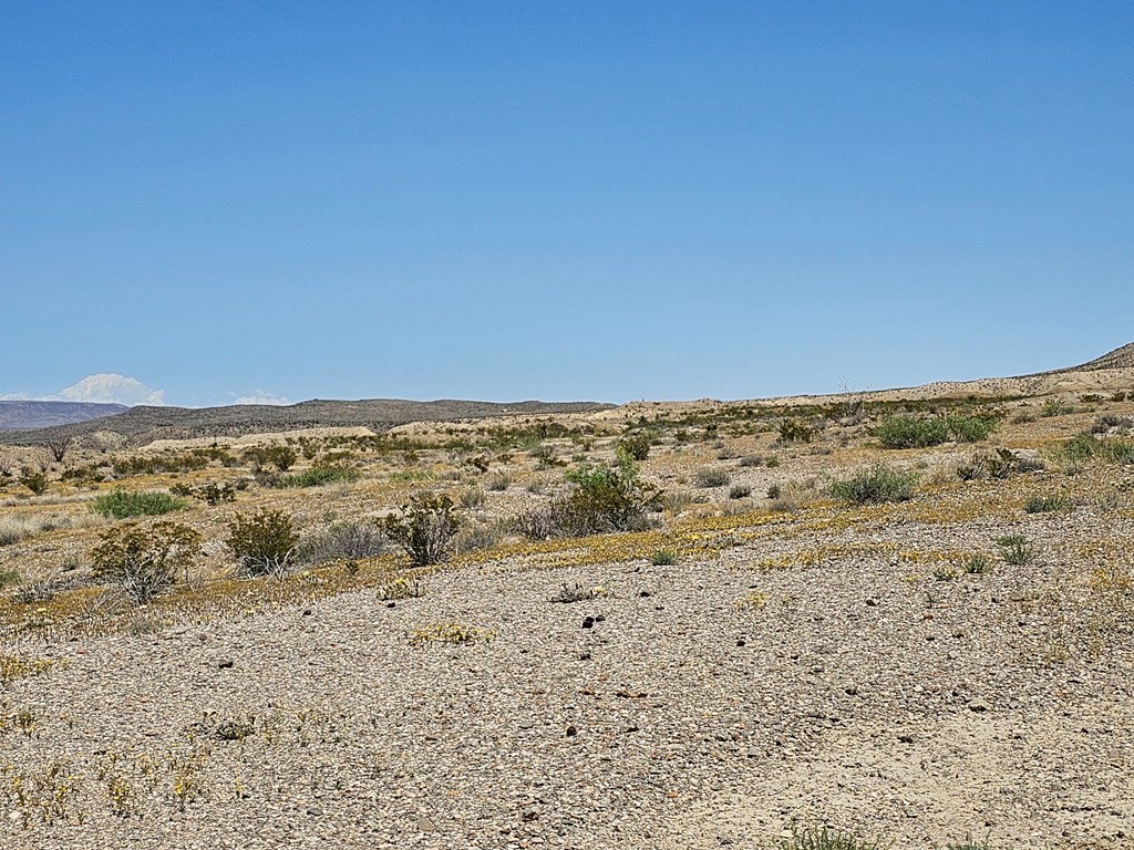 2 Victoria, Terlingua, Texas image 13