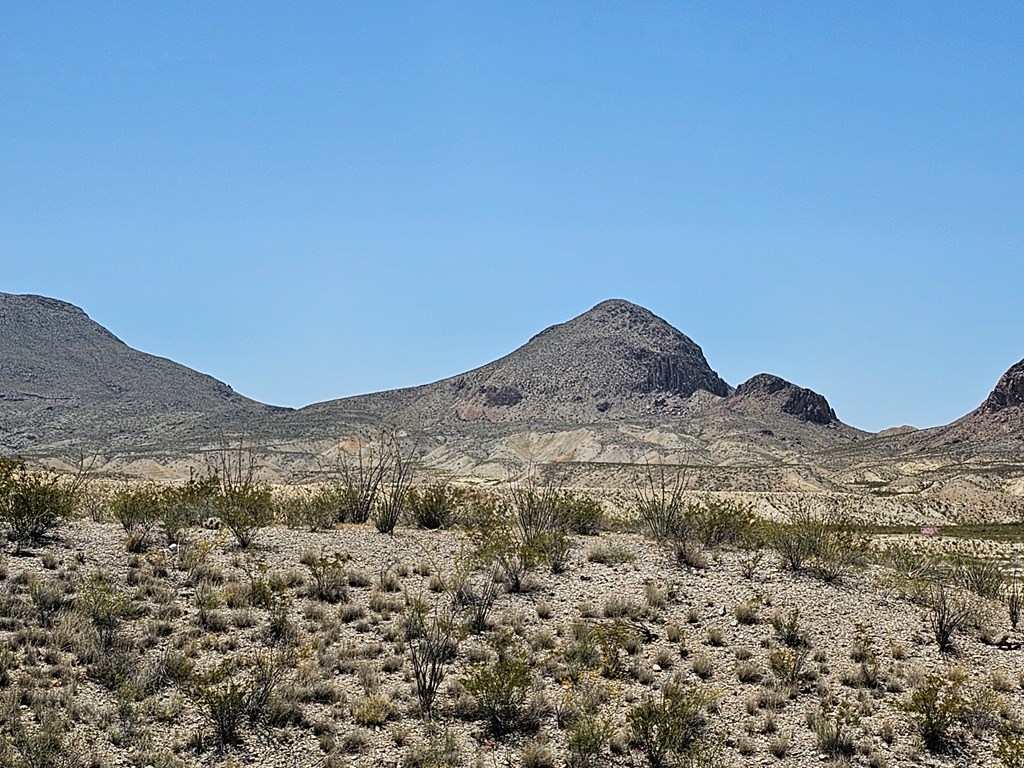 2 Victoria, Terlingua, Texas image 23