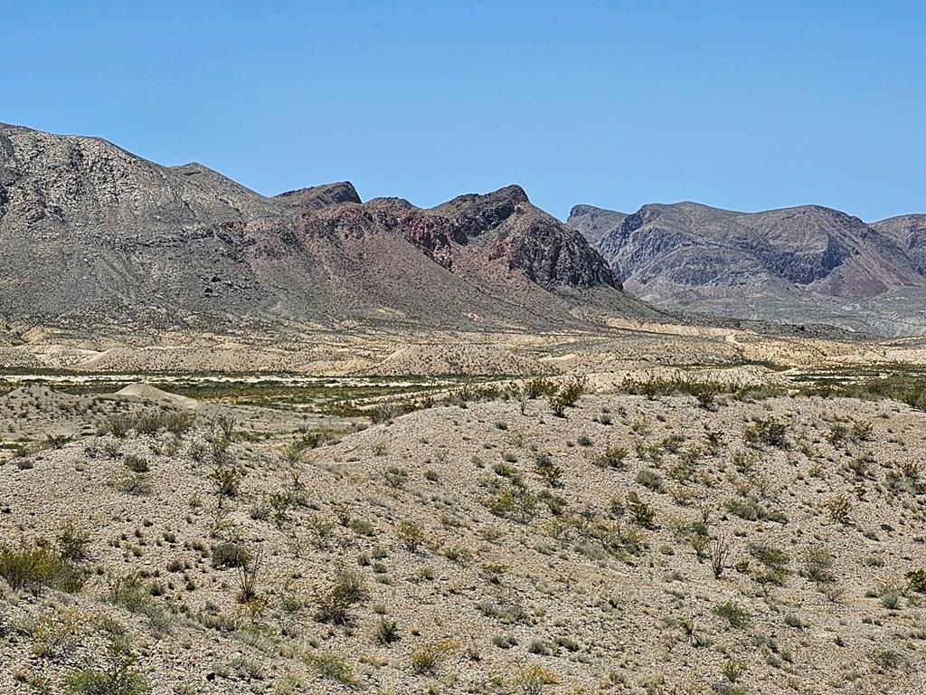 2 Victoria, Terlingua, Texas image 1