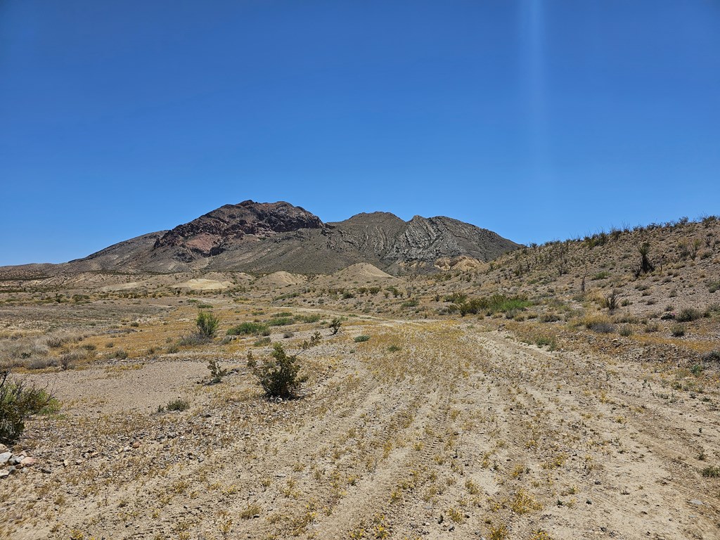 2 Victoria, Terlingua, Texas image 35