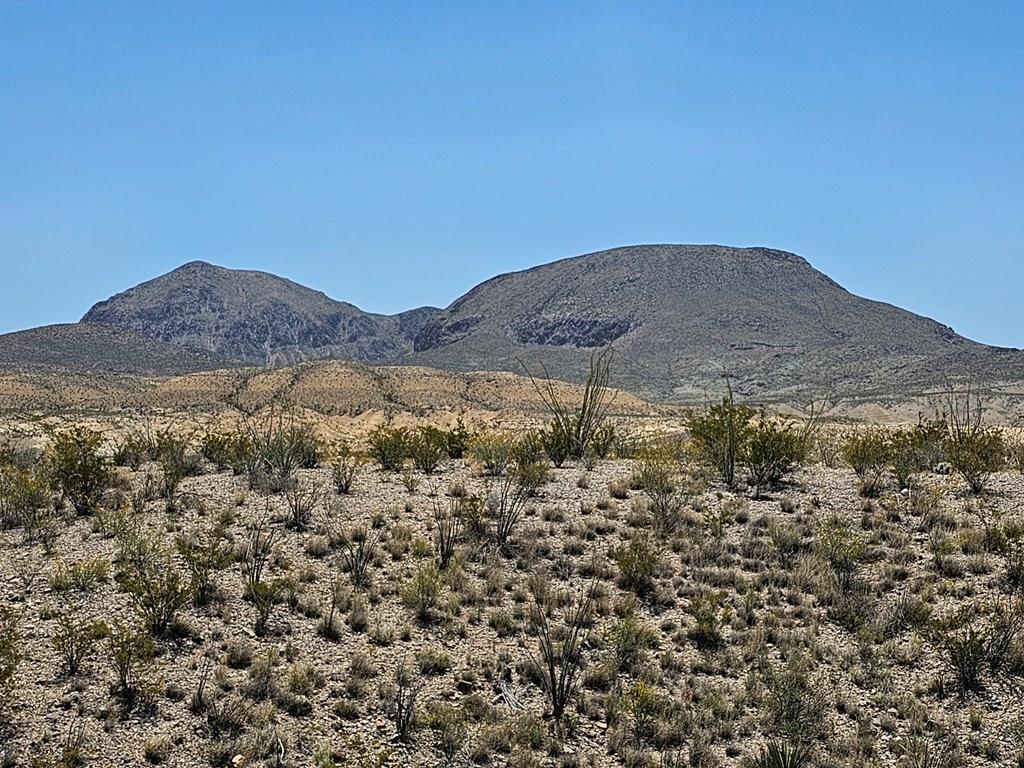 2 Victoria, Terlingua, Texas image 2