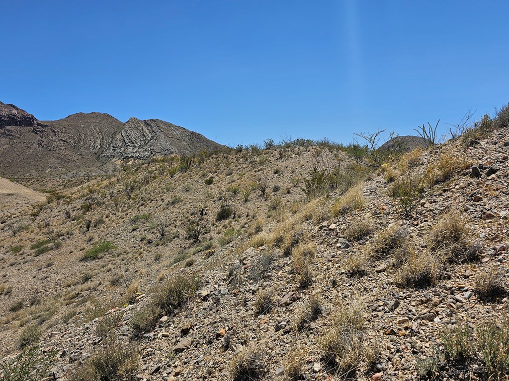 2 Victoria, Terlingua, Texas image 8