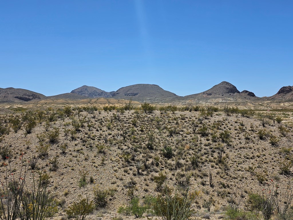 2 Victoria, Terlingua, Texas image 29