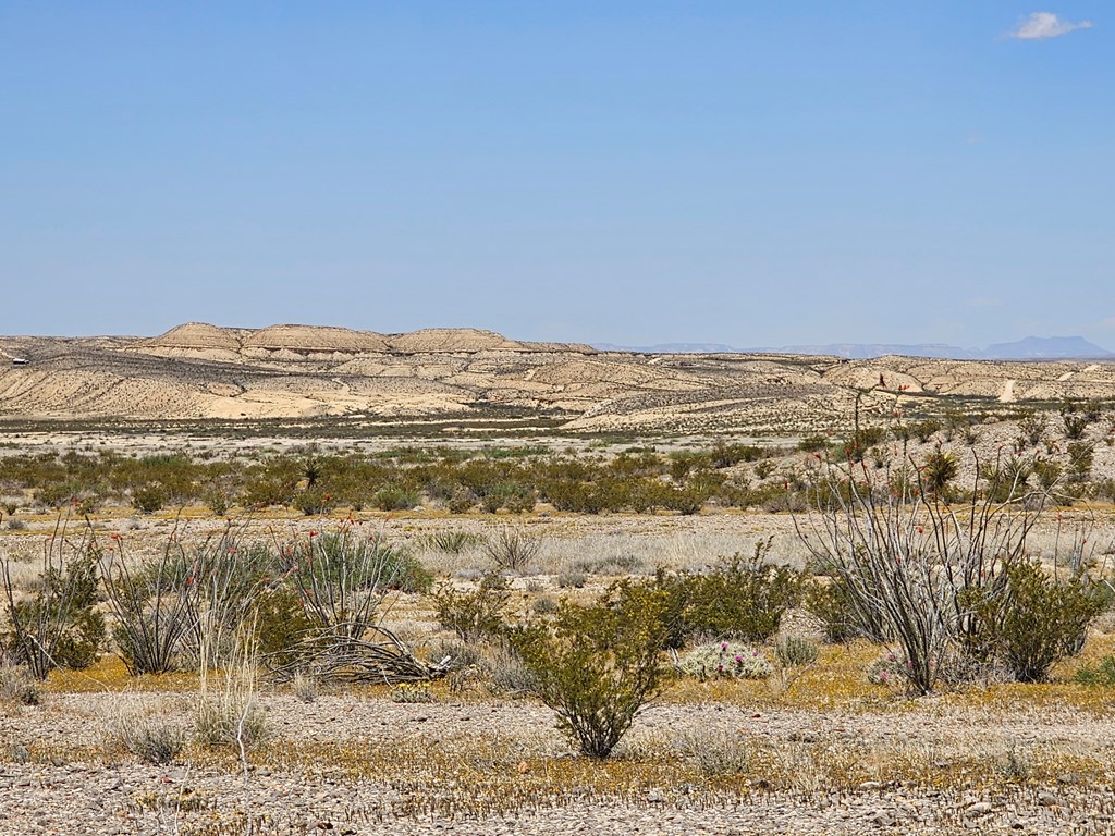 2 Victoria, Terlingua, Texas image 11