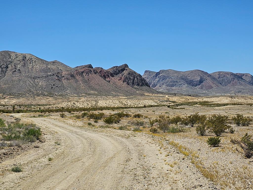 2 Victoria, Terlingua, Texas image 5