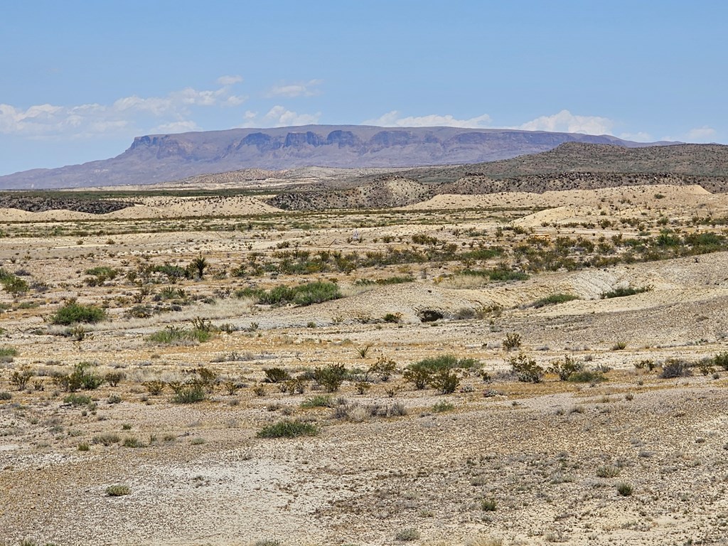 2 Victoria, Terlingua, Texas image 33