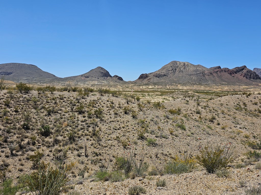 2 Victoria, Terlingua, Texas image 30