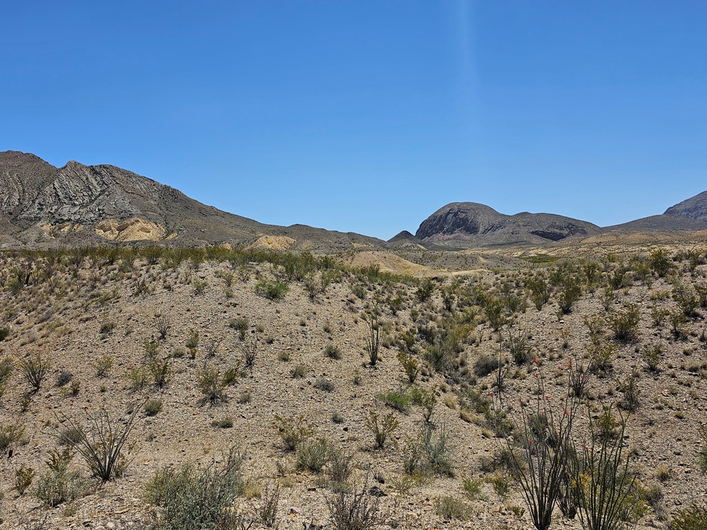 2 Victoria, Terlingua, Texas image 27