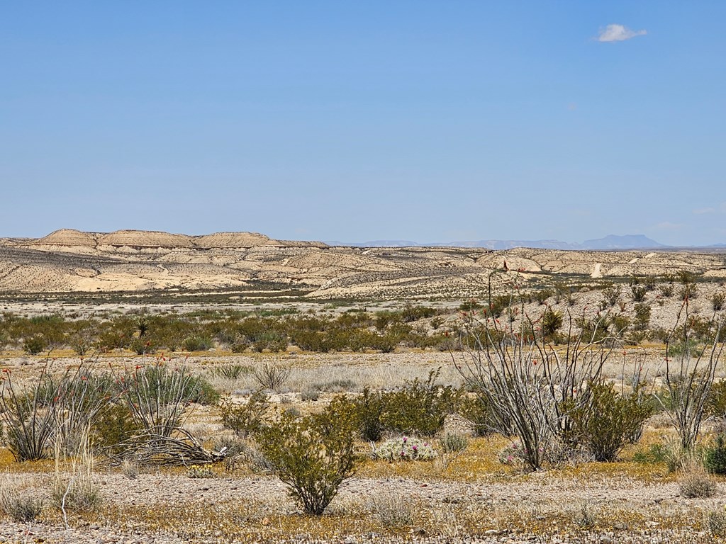 2 Victoria, Terlingua, Texas image 12