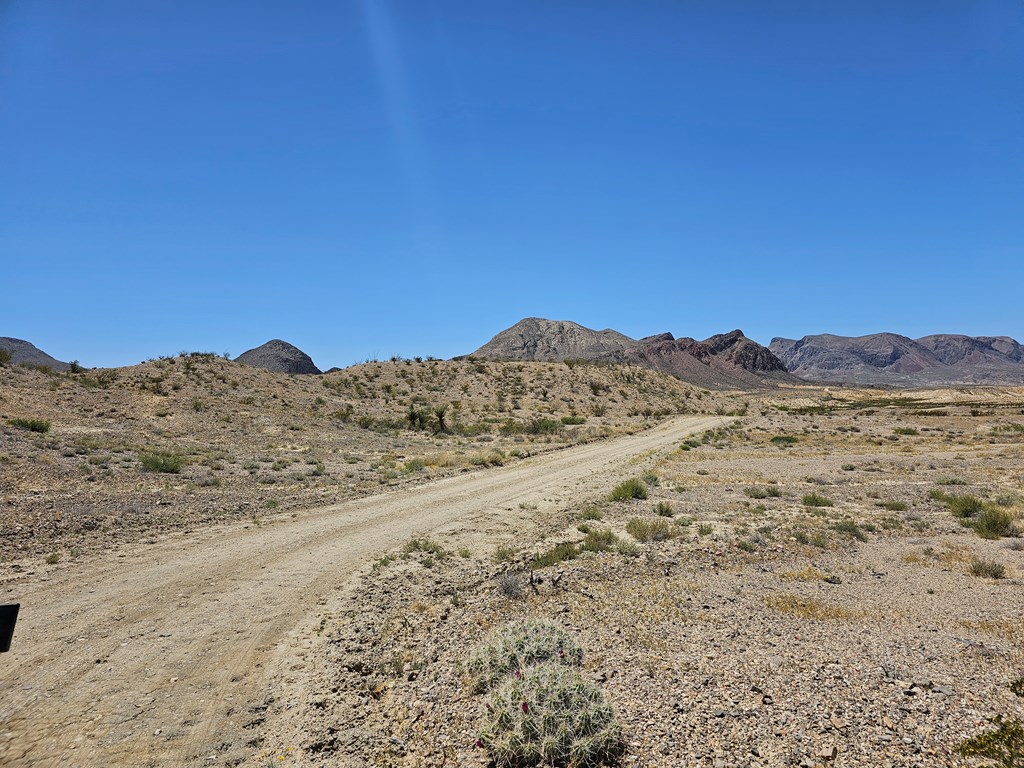 2 Victoria, Terlingua, Texas image 34