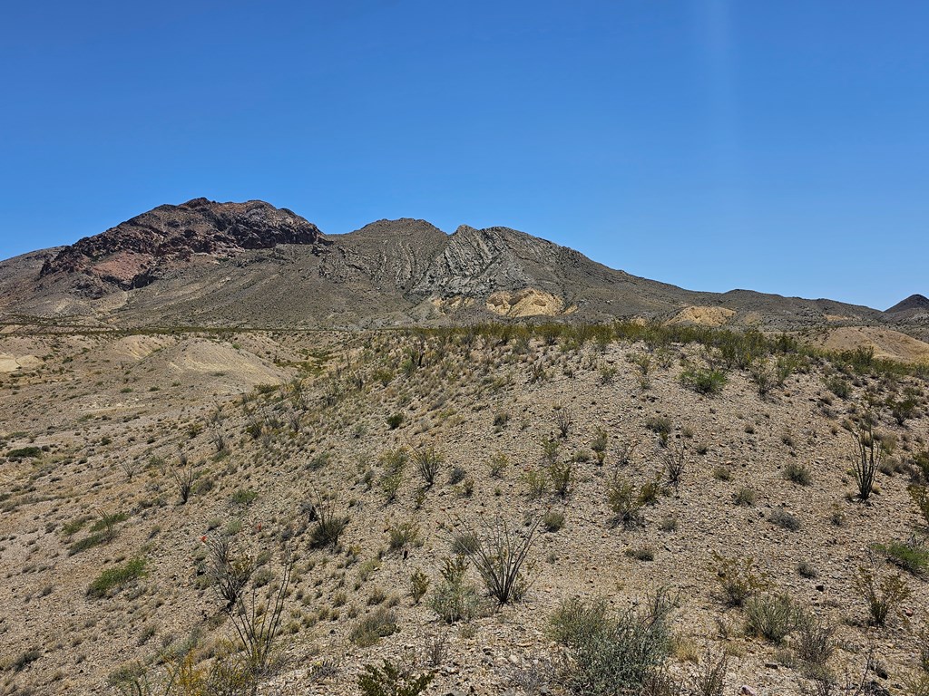 2 Victoria, Terlingua, Texas image 26