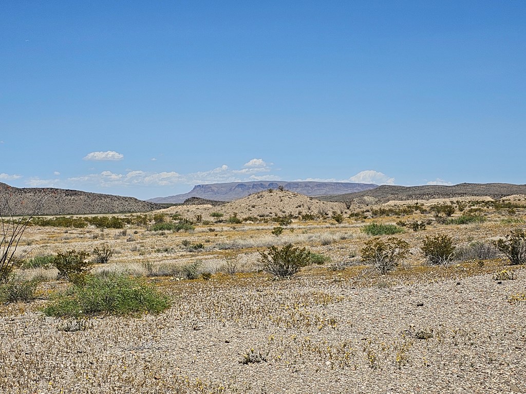 2 Victoria, Terlingua, Texas image 14