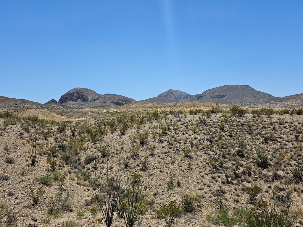 2 Victoria, Terlingua, Texas image 28