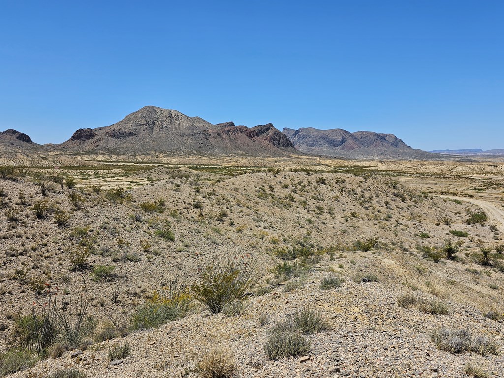 2 Victoria, Terlingua, Texas image 31