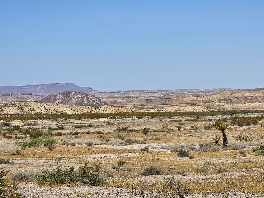 2 Victoria, Terlingua, Texas image 7