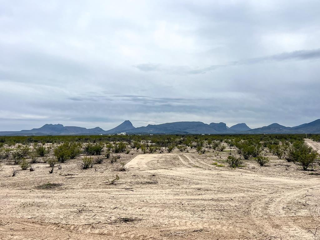 2626 E Estes Ave, Terlingua, Texas image 2