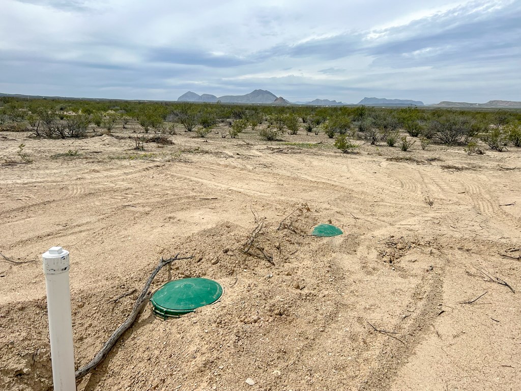 2626 E Estes Ave, Terlingua, Texas image 3