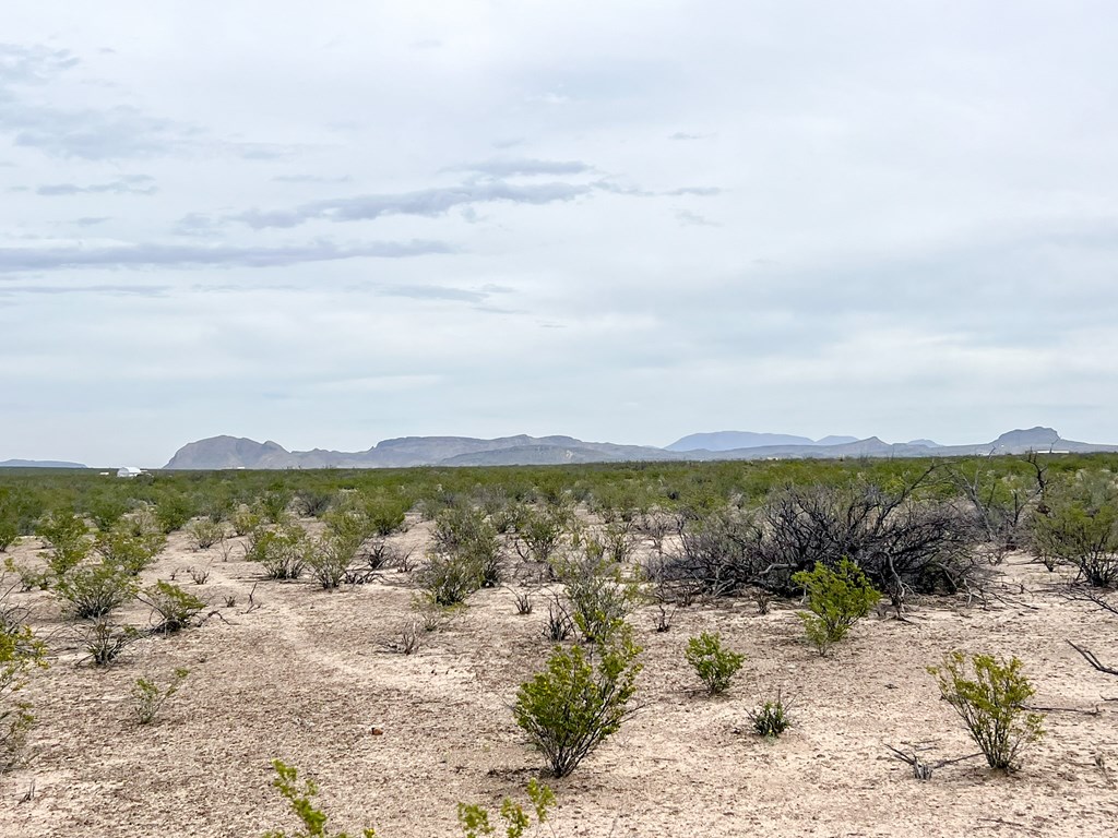 2626 E Estes Ave, Terlingua, Texas image 9