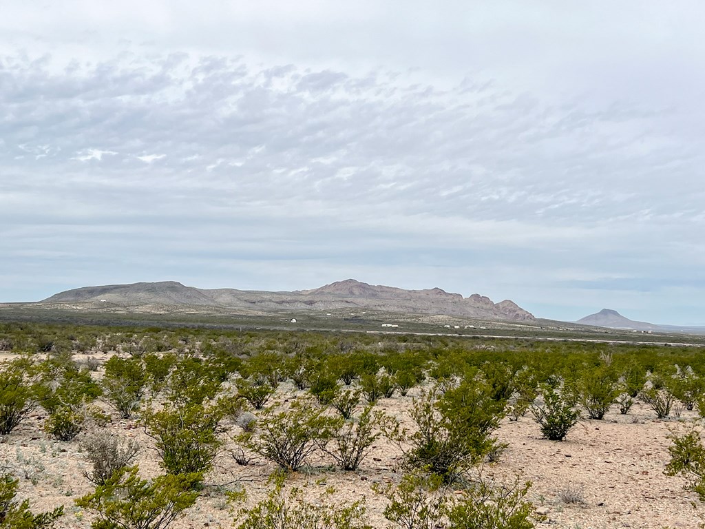 2626 E Estes Ave, Terlingua, Texas image 4