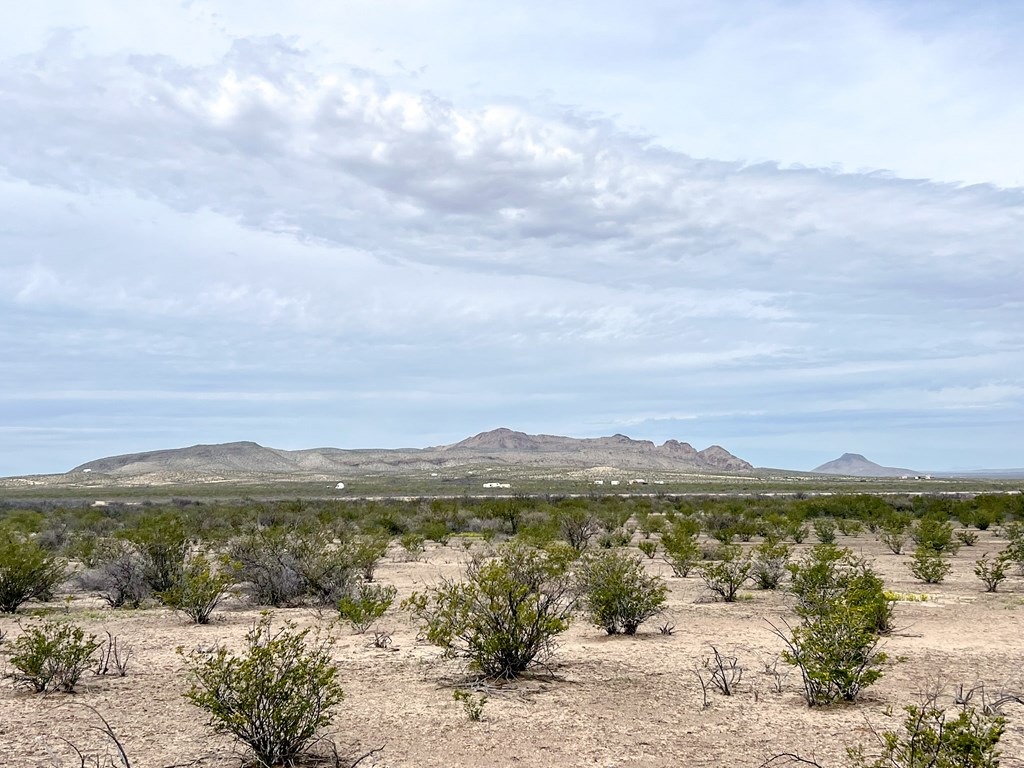 2626 E Estes Ave, Terlingua, Texas image 8