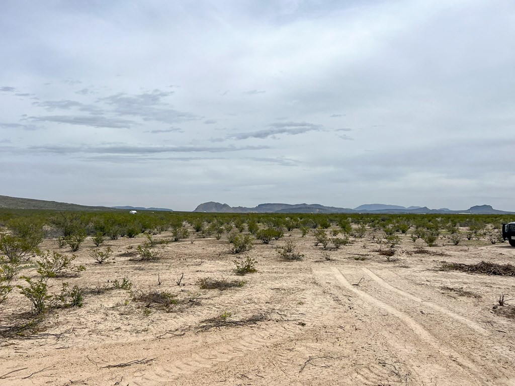 2626 E Estes Ave, Terlingua, Texas image 11