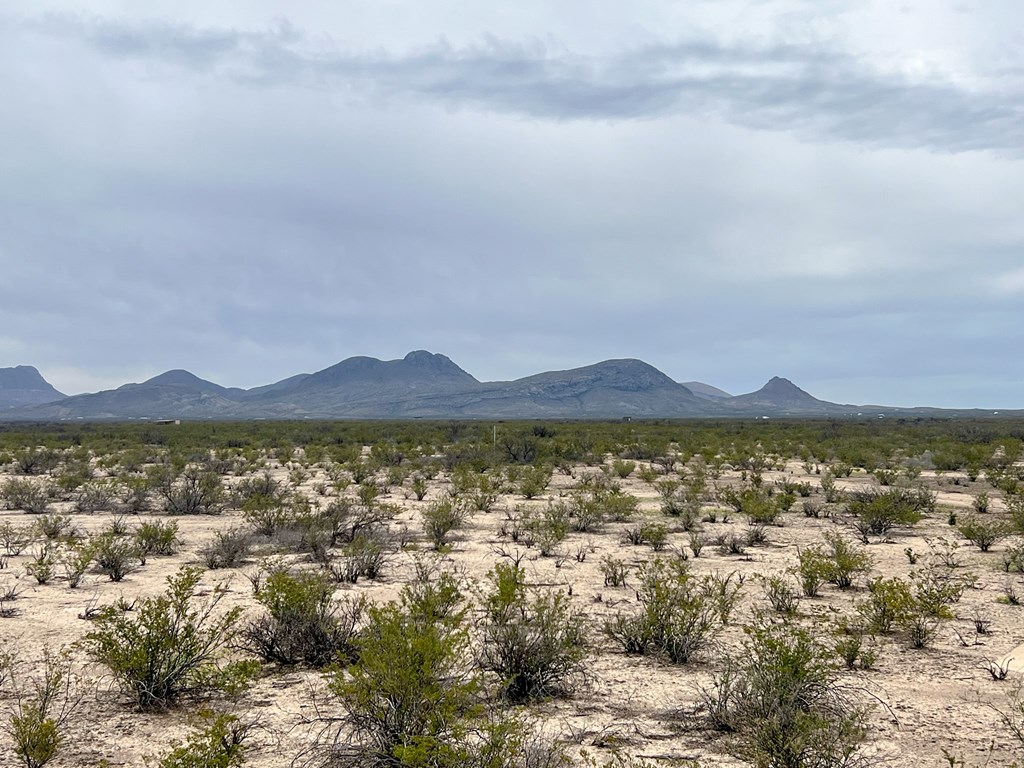 2626 E Estes Ave, Terlingua, Texas image 12