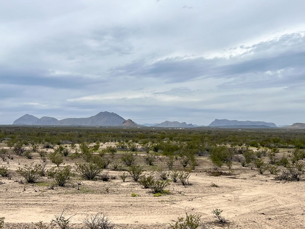 2626 E Estes Ave, Terlingua, Texas image 5