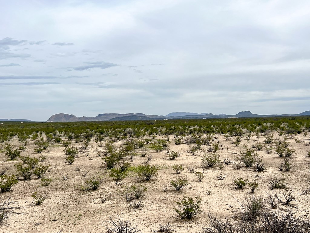 2626 E Estes Ave, Terlingua, Texas image 7