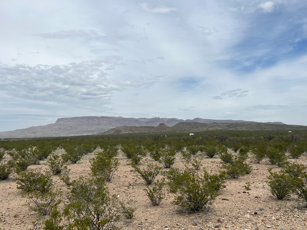 2626 E Estes Ave, Terlingua, Texas image 14