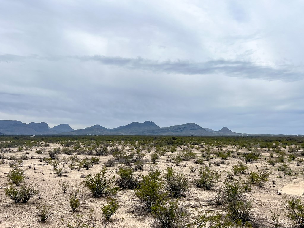 2626 E Estes Ave, Terlingua, Texas image 17