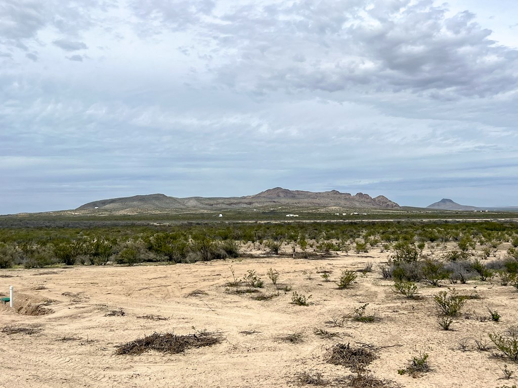 2626 E Estes Ave, Terlingua, Texas image 18