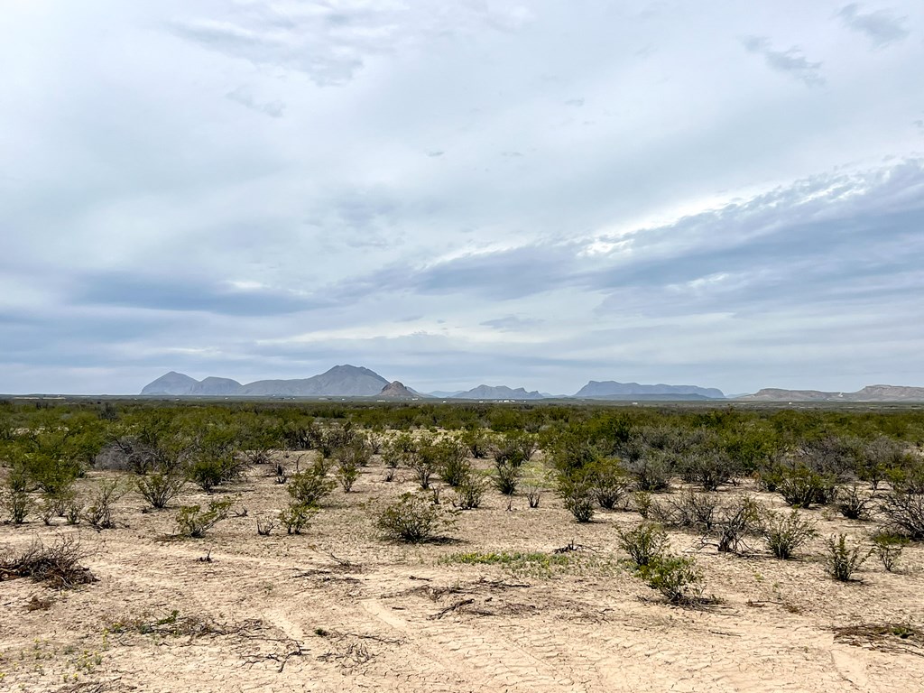 2626 E Estes Ave, Terlingua, Texas image 16