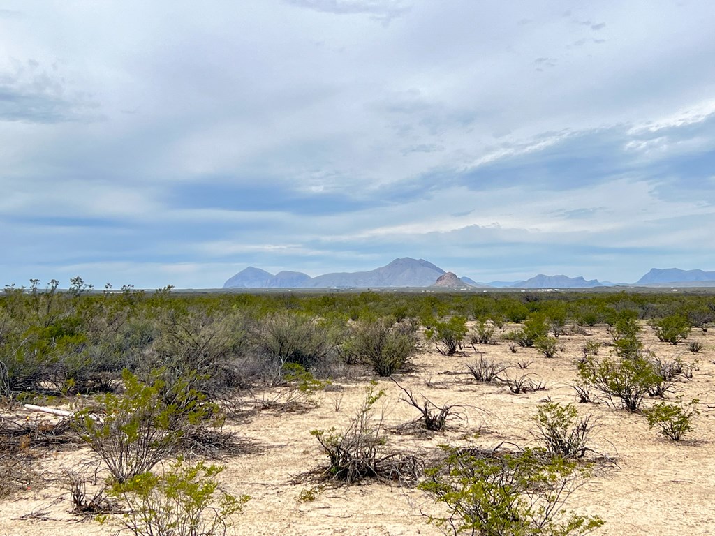 2626 E Estes Ave, Terlingua, Texas image 15