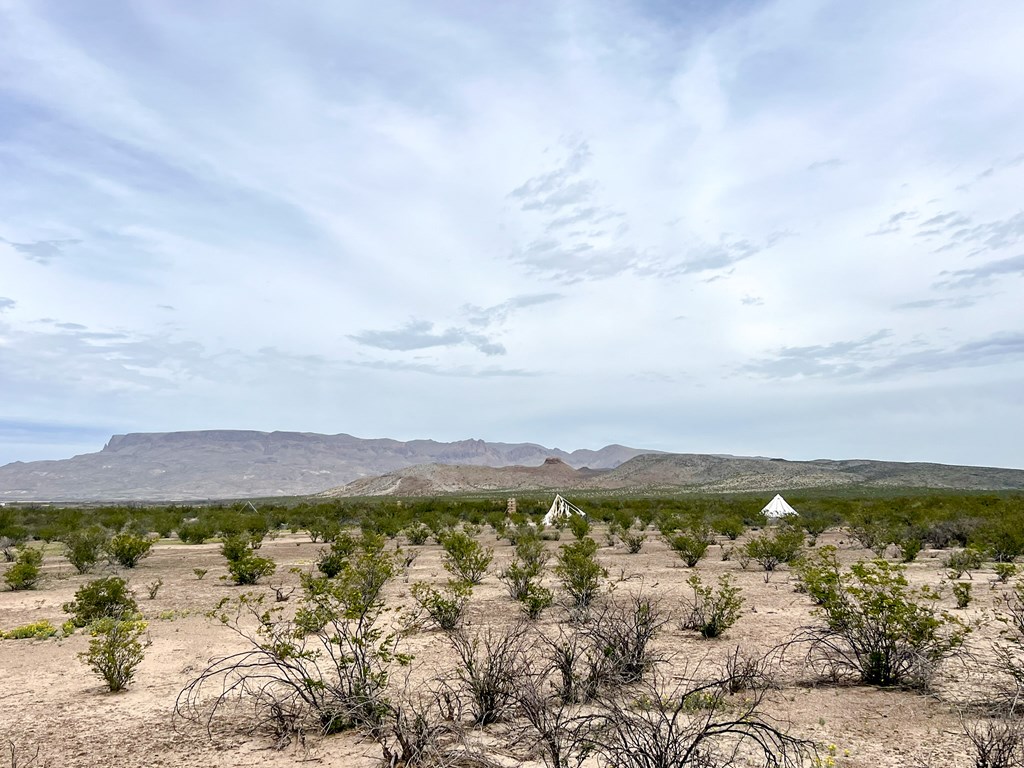 2626 E Estes Ave, Terlingua, Texas image 19