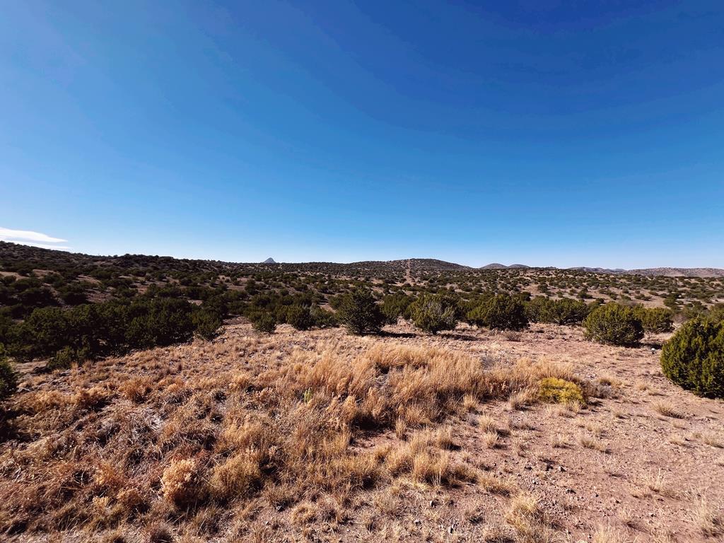 407 Texas Oak, Alpine, Texas image 14