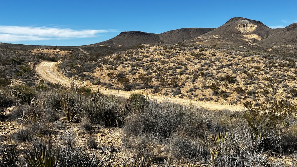 24387 Echo S. Rd, Terlingua, Texas image 9