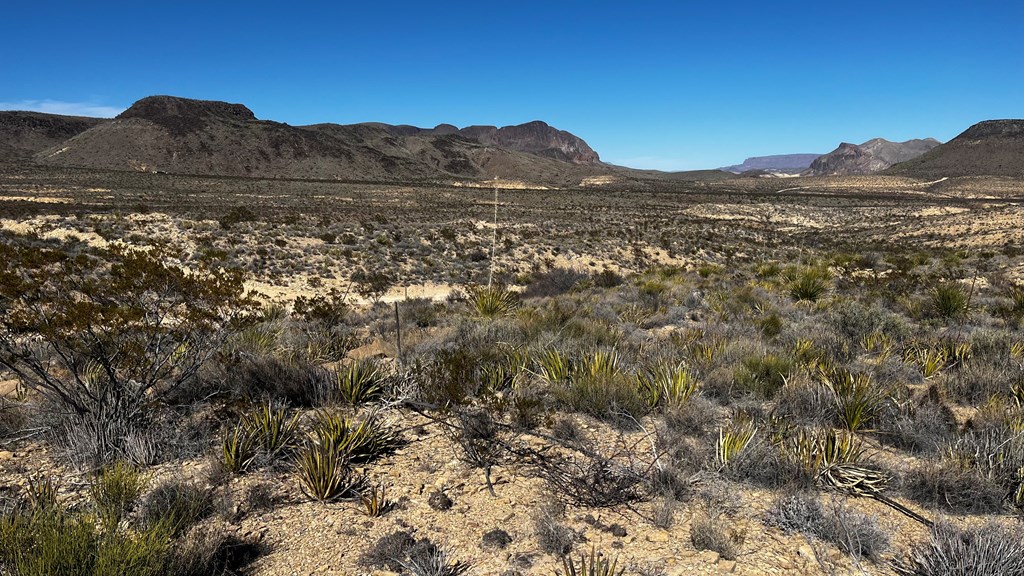 24387 Echo S. Rd, Terlingua, Texas image 3