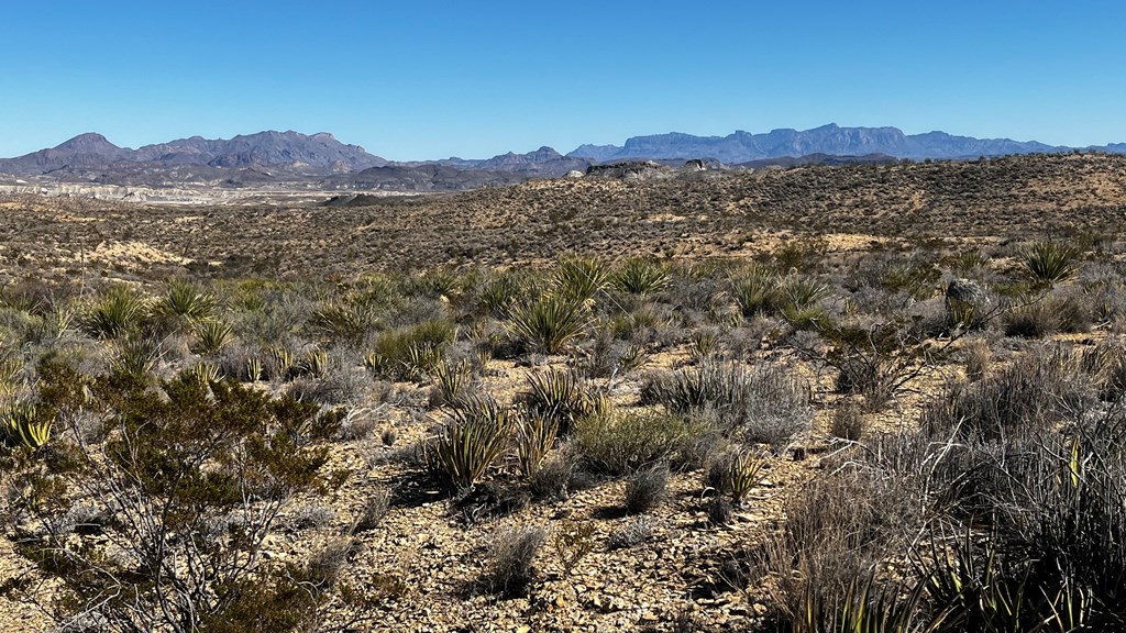 24387 Echo S. Rd, Terlingua, Texas image 6