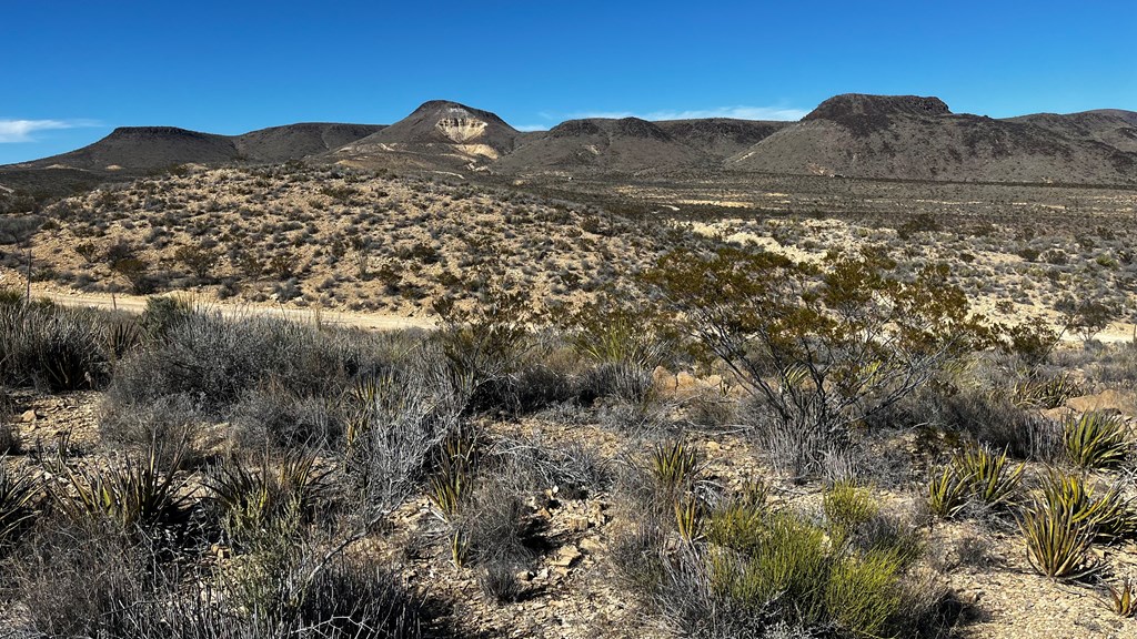 24387 Echo S. Rd, Terlingua, Texas image 2