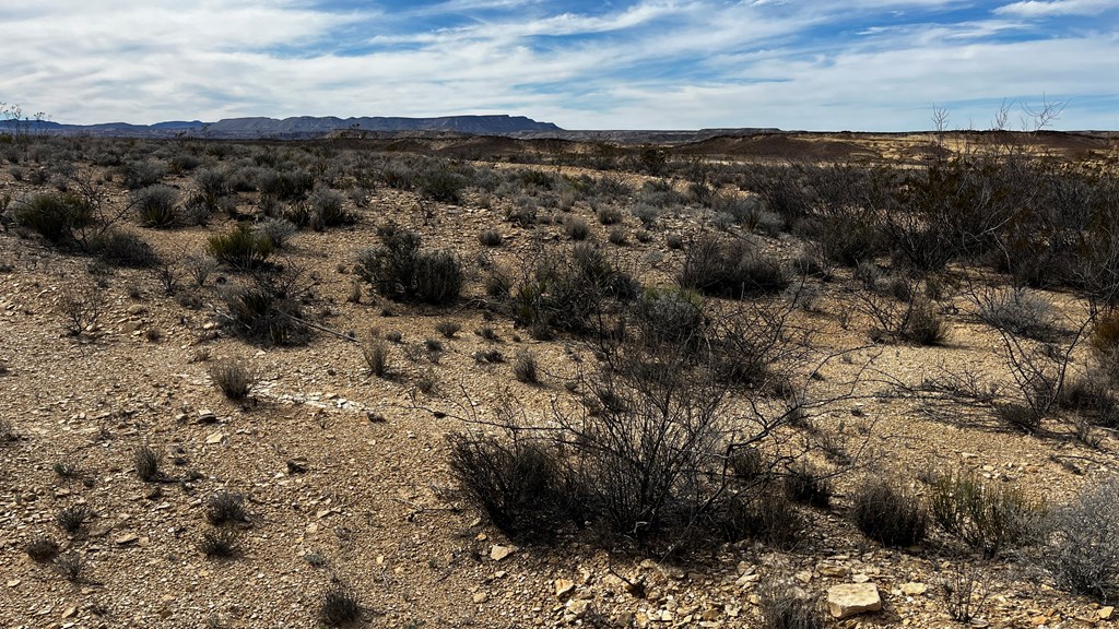 13910 Rancho Manana Loop, Terlingua, Texas image 3