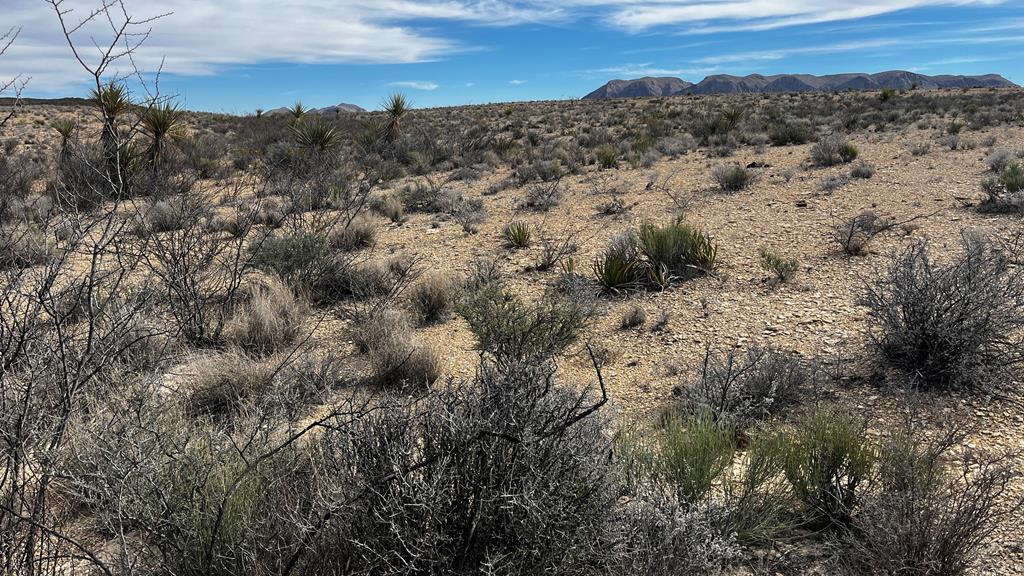 13910 Rancho Manana Loop, Terlingua, Texas image 1