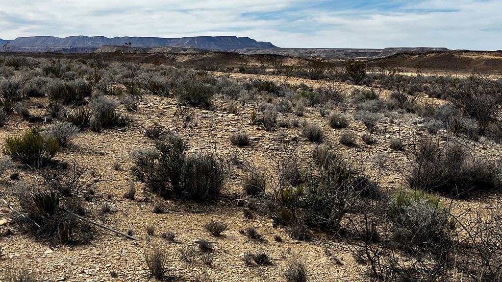 13910 Rancho Manana Loop, Terlingua, Texas image 5